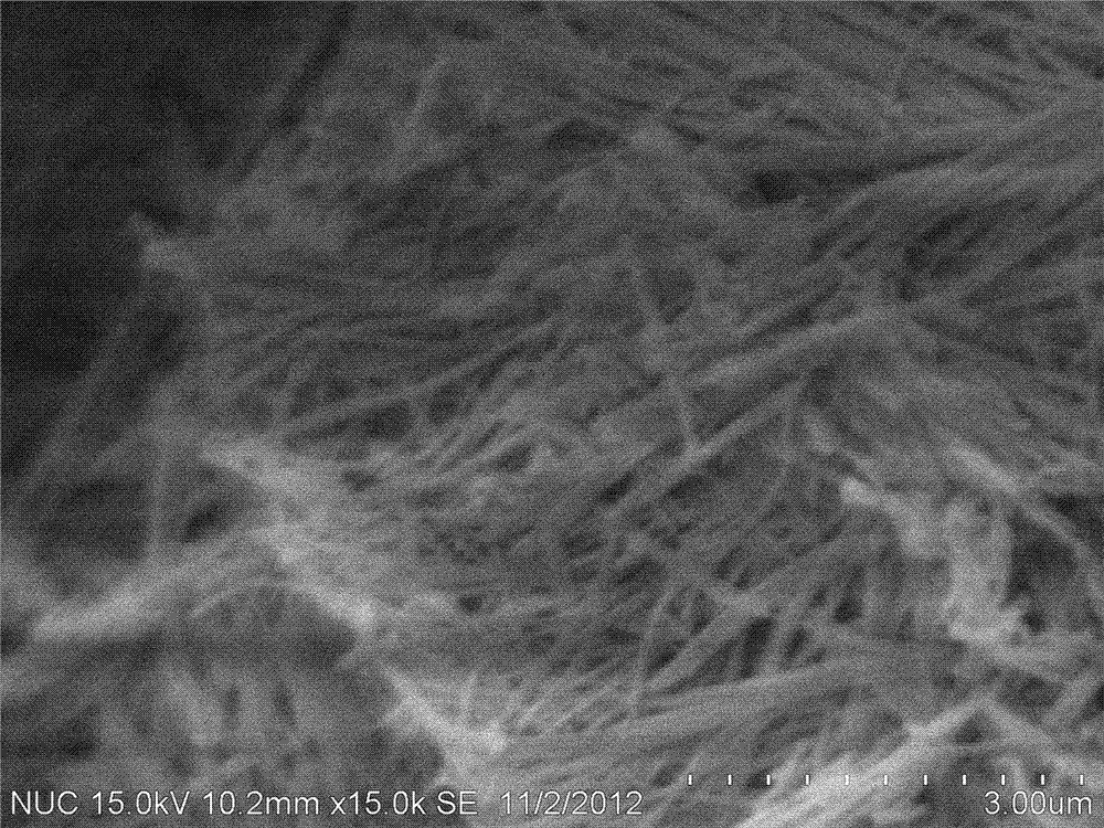 Preparation method based on photocatalytic activity for titanium dioxide nanofibers