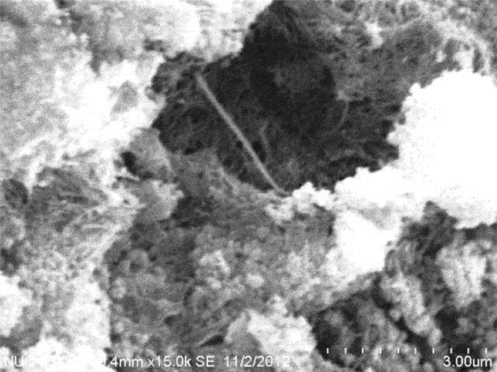 Preparation method based on photocatalytic activity for titanium dioxide nanofibers