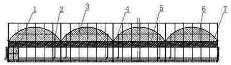 Cultivation facility and method suitable for three-dimensional symbiosis of dendrobium officinale and anoectochilus formosanus