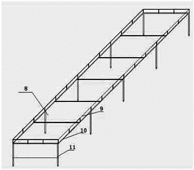 Cultivation facility and method suitable for three-dimensional symbiosis of dendrobium officinale and anoectochilus formosanus