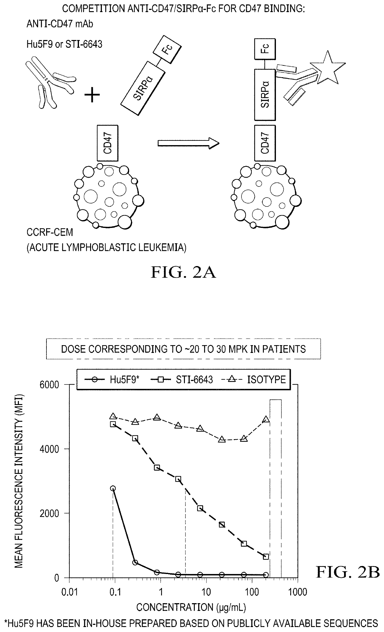 Compositions and Methods Comprising an Anti-CD47 Antibody in Combination with a Tumor Targeting Antibody