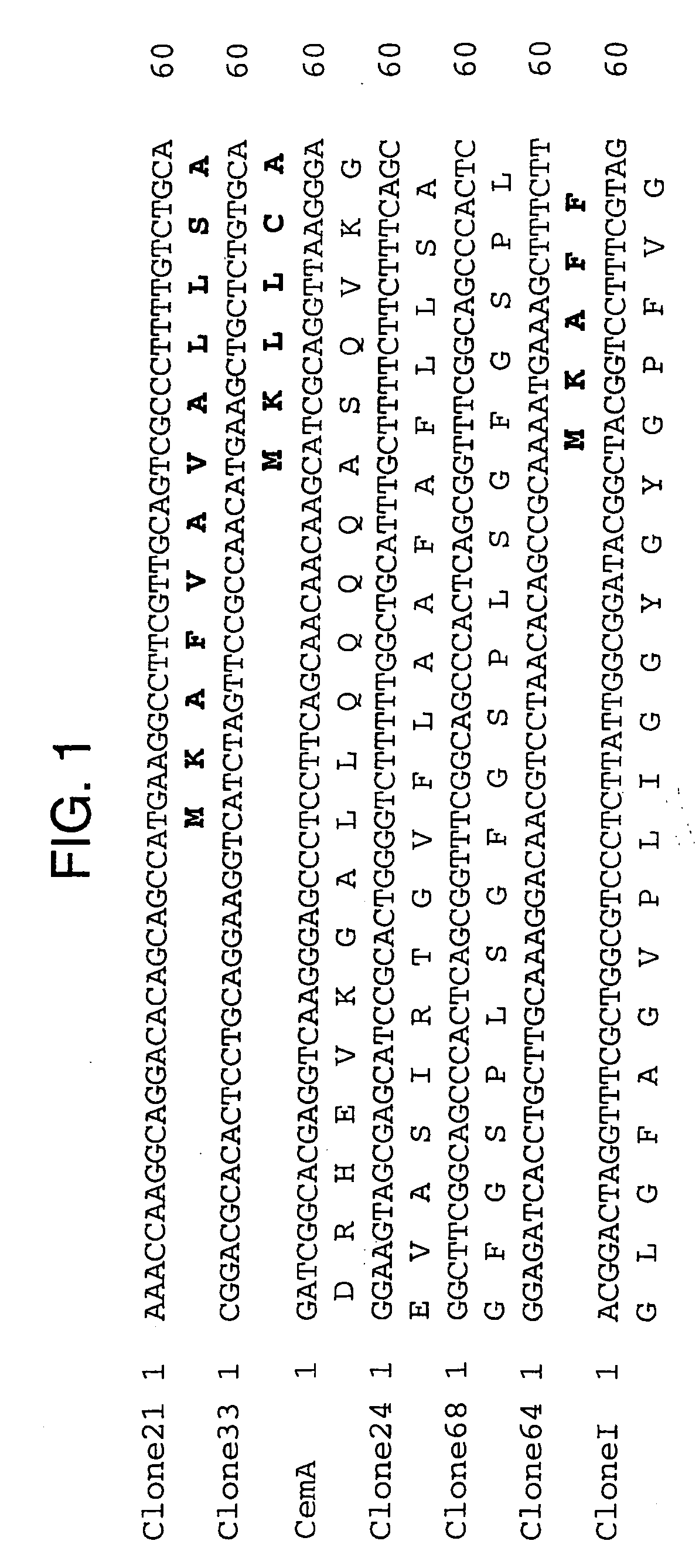 Vaccine against infectious disease