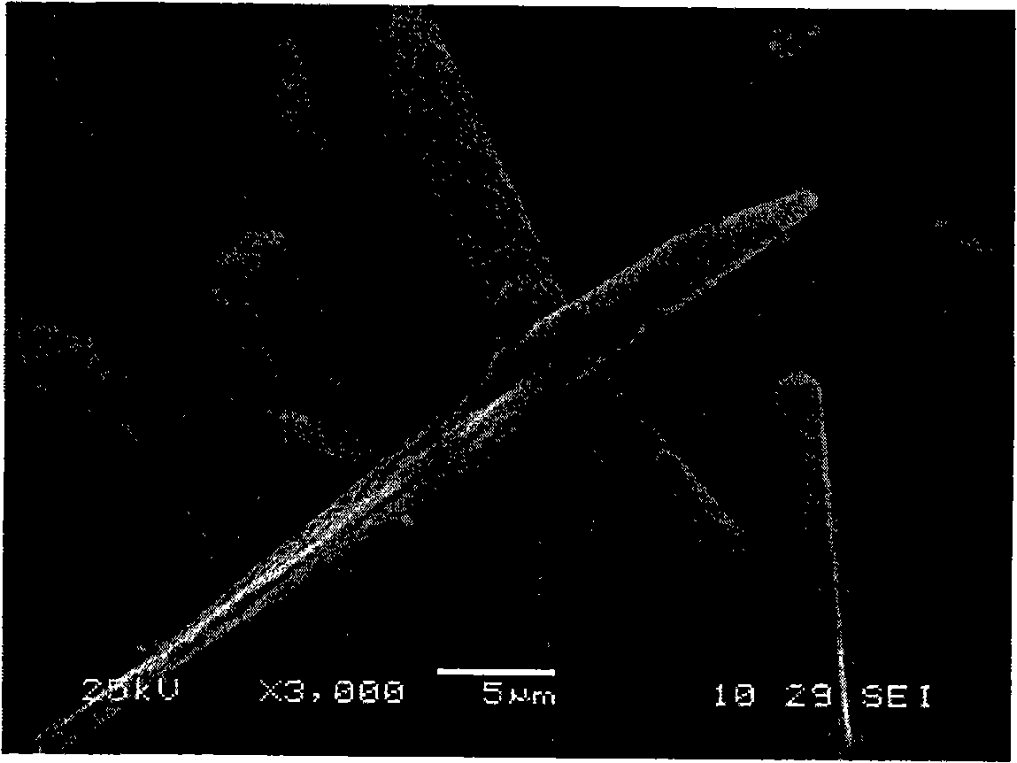 Tetrapod zinc oxide whisker coated with functional layer and preparation thereof