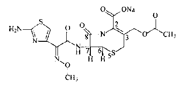 Crystallization method for cefotaxime sodium