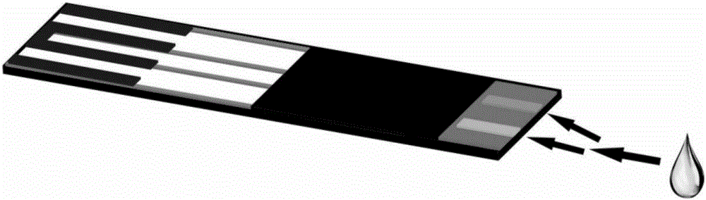 Finger blood test strip and use method and preparation method thereof