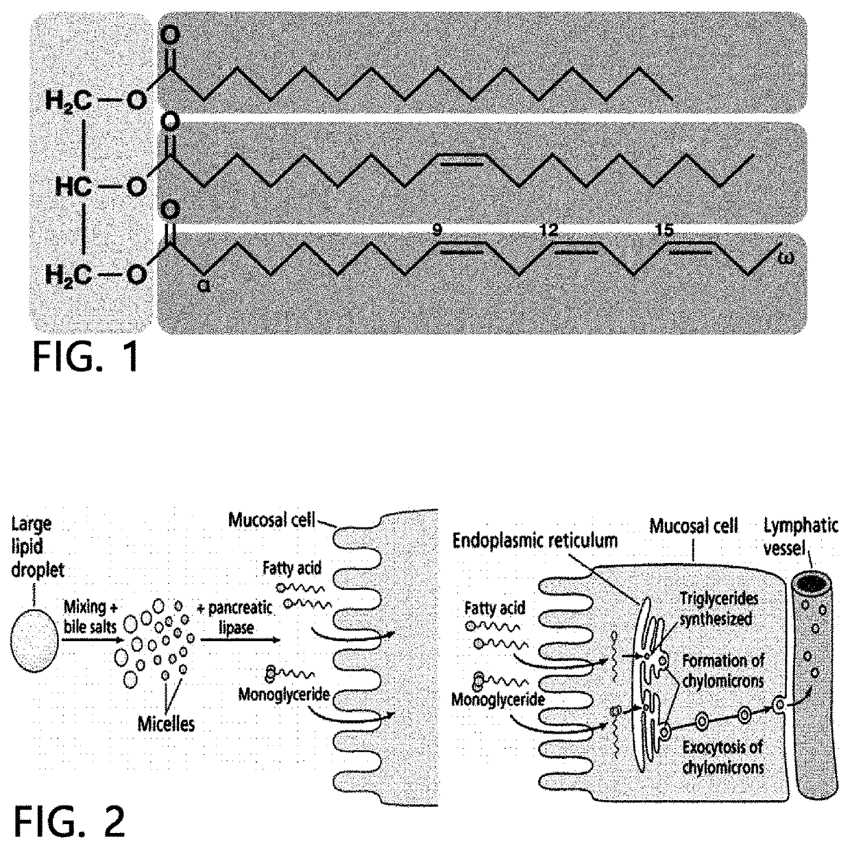 Method for treatment of liver steatosis or non-alcoholic fatty liver by using 2-monoacylglycerol cleaving enzyme