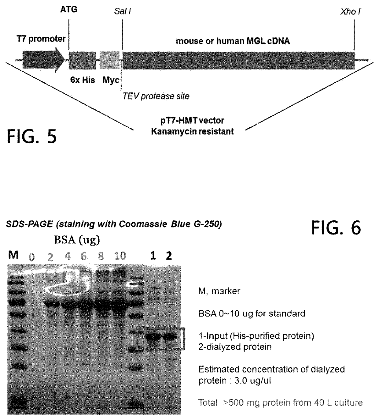 Method for treatment of liver steatosis or non-alcoholic fatty liver by using 2-monoacylglycerol cleaving enzyme