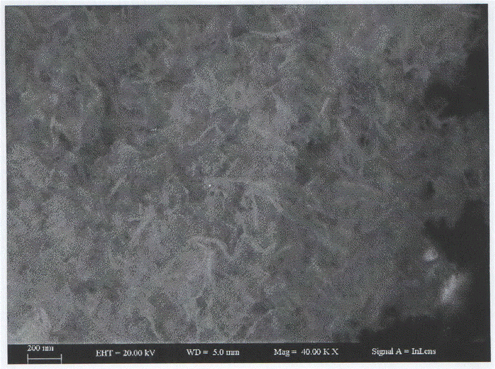 Preparation method of zinc oxide nanoparticles for rapid detection of explosive atmosphere