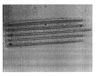 Methods for the lithographic deposition of materials containing nanoparticles