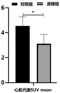 A method for establishing an eam mouse model induced by an autoantigen epitope