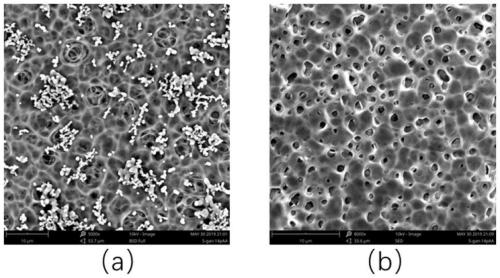 Porous polyimide film and preparation method and application thereof