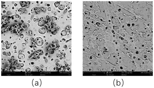 Porous polyimide film and preparation method and application thereof