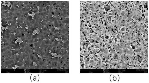 Porous polyimide film and preparation method and application thereof