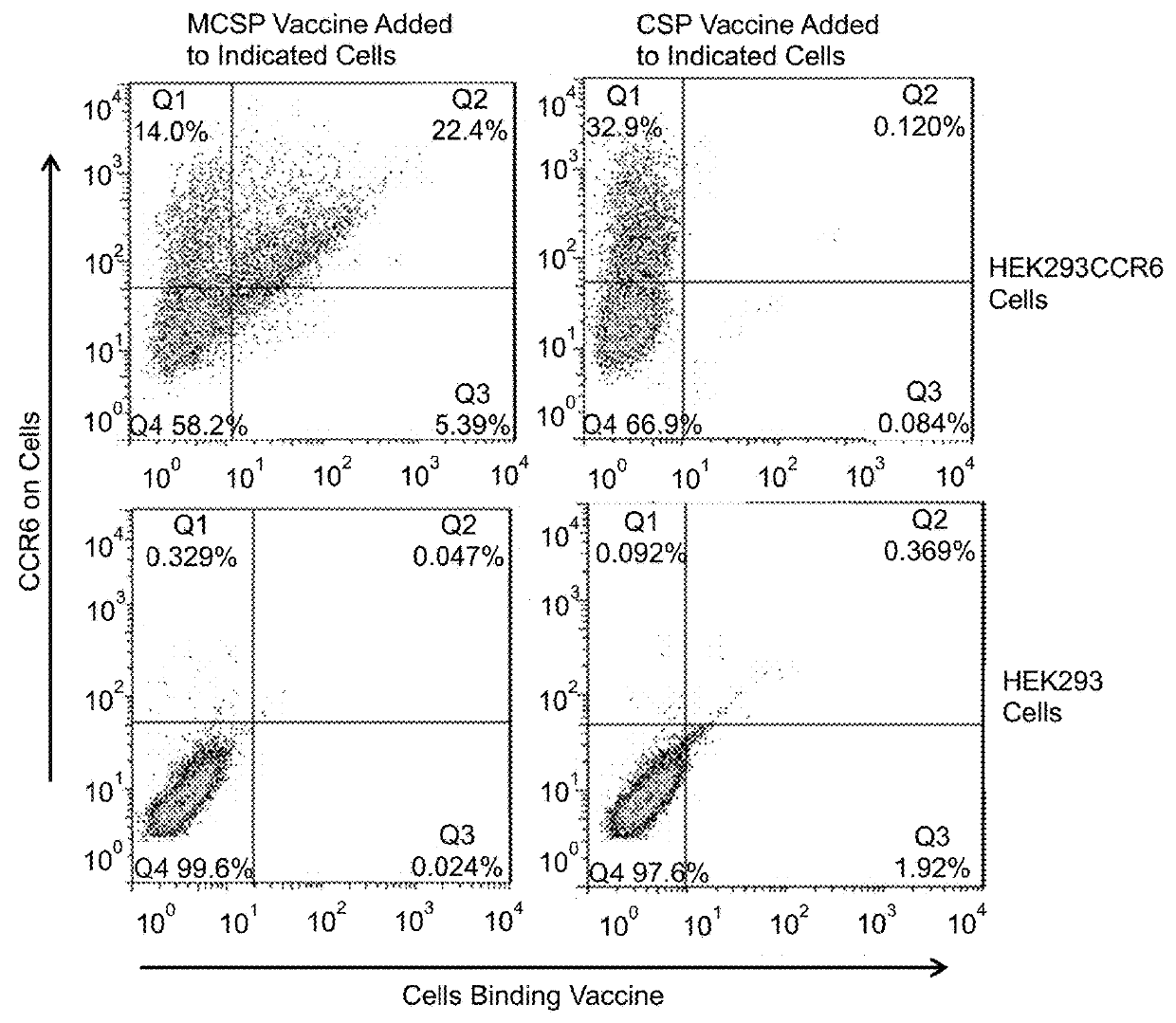 Extended protection protein vaccines against infectious agents