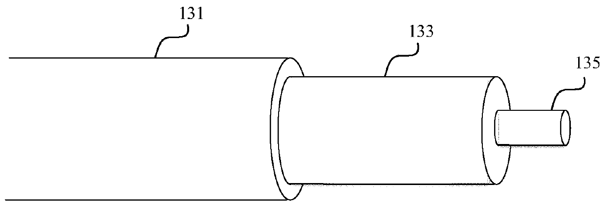 Laser Therapeutic Apparatus and Spinal Cord Repair Method