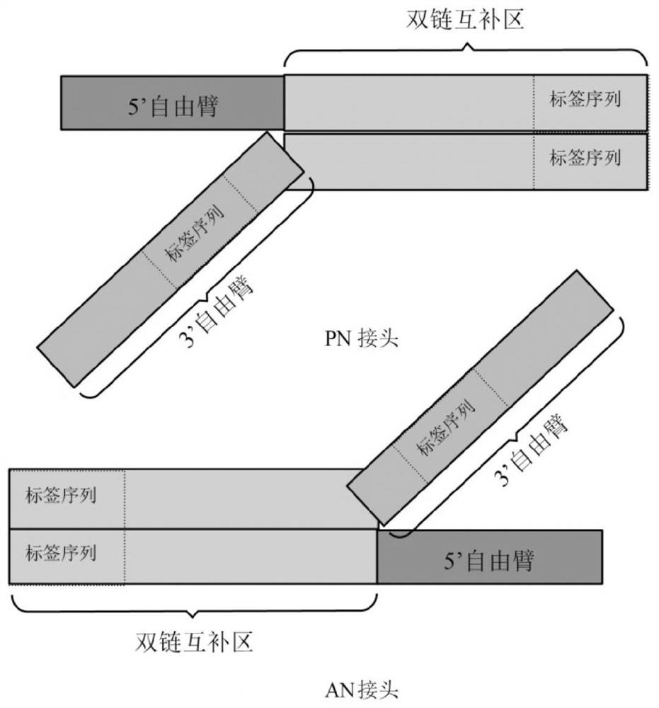 A method for constructing a universal gene detection library for hereditary familial hypercholesterolemia and its kit