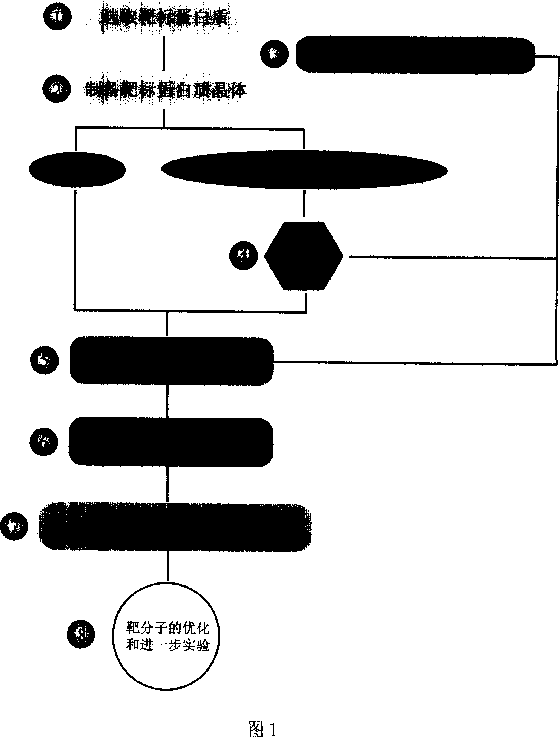 Novel methods for high efficiency and rapid getting fine three dimensional structure of target protein composite body and target molecule target molecule