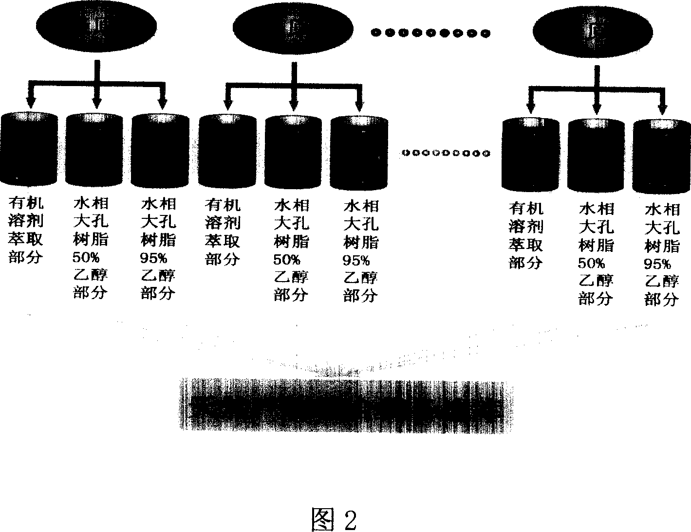 Novel methods for high efficiency and rapid getting fine three dimensional structure of target protein composite body and target molecule target molecule