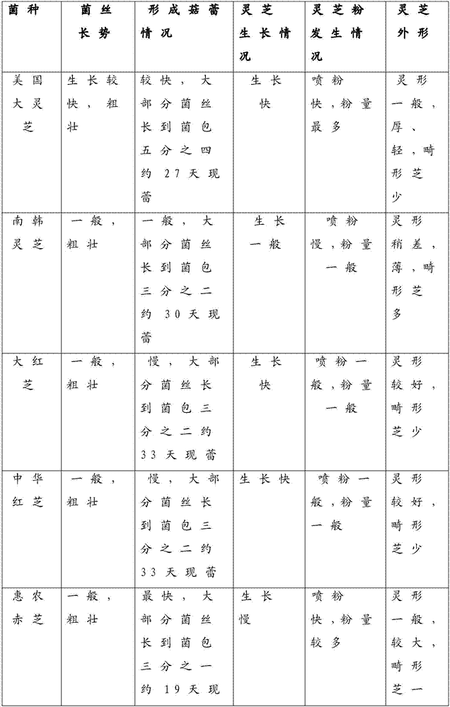 Factory organic production method of lucid ganoderma