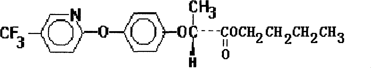 Herbicidal composition containing fluazifop-p-butyl and clethodim and application thereof