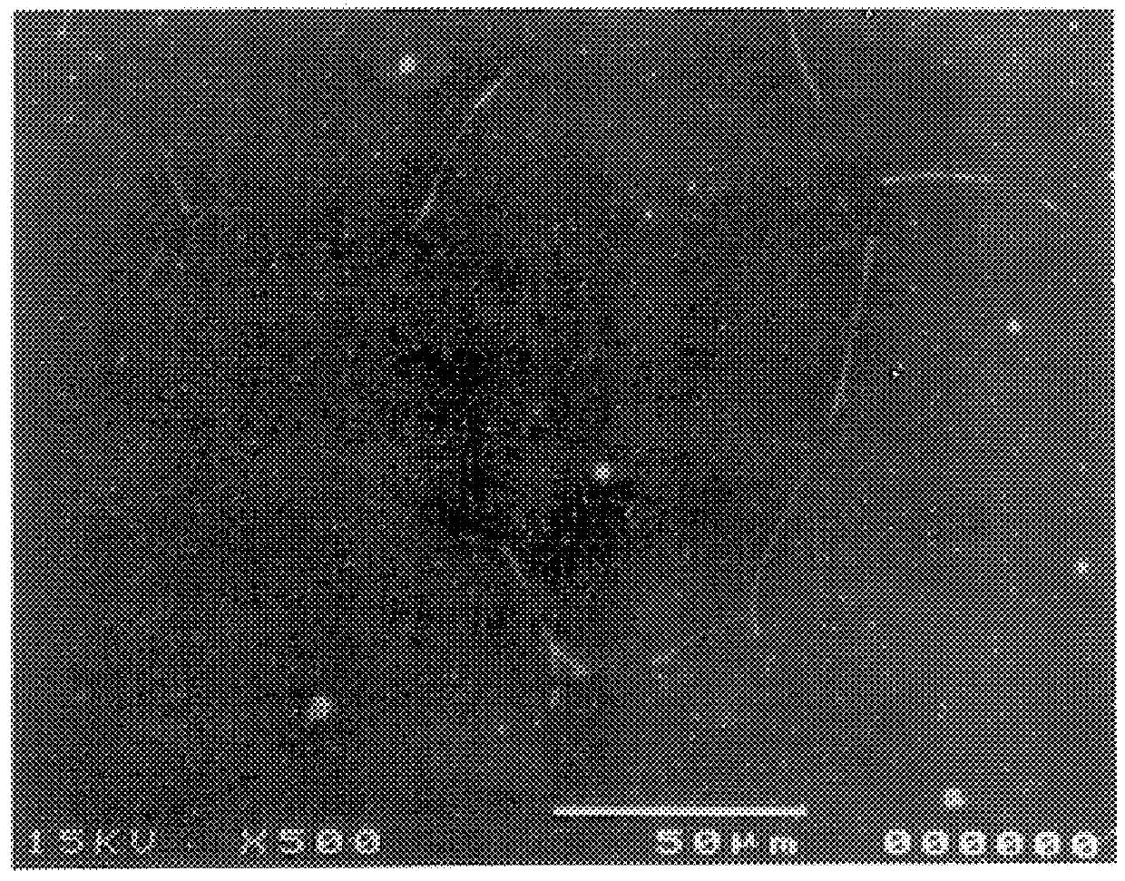 Liquid-state-in-situ-formed ceramic particles in metals and alloys