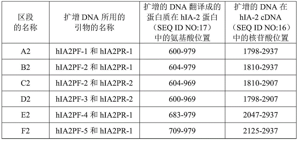 Antigen protein specifically bound with tyrosine phosphatase antibody