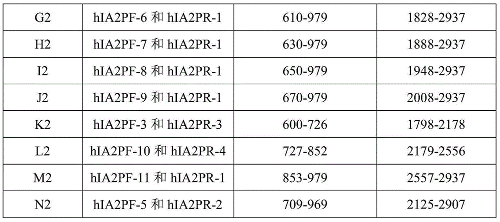 Antigen protein specifically bound with tyrosine phosphatase antibody