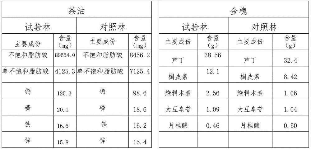 Oil tea and paraphlonia interplanting method