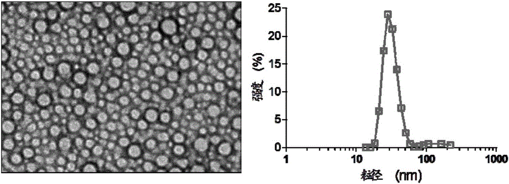 Combined antitumor drug, preparation method and applications thereof