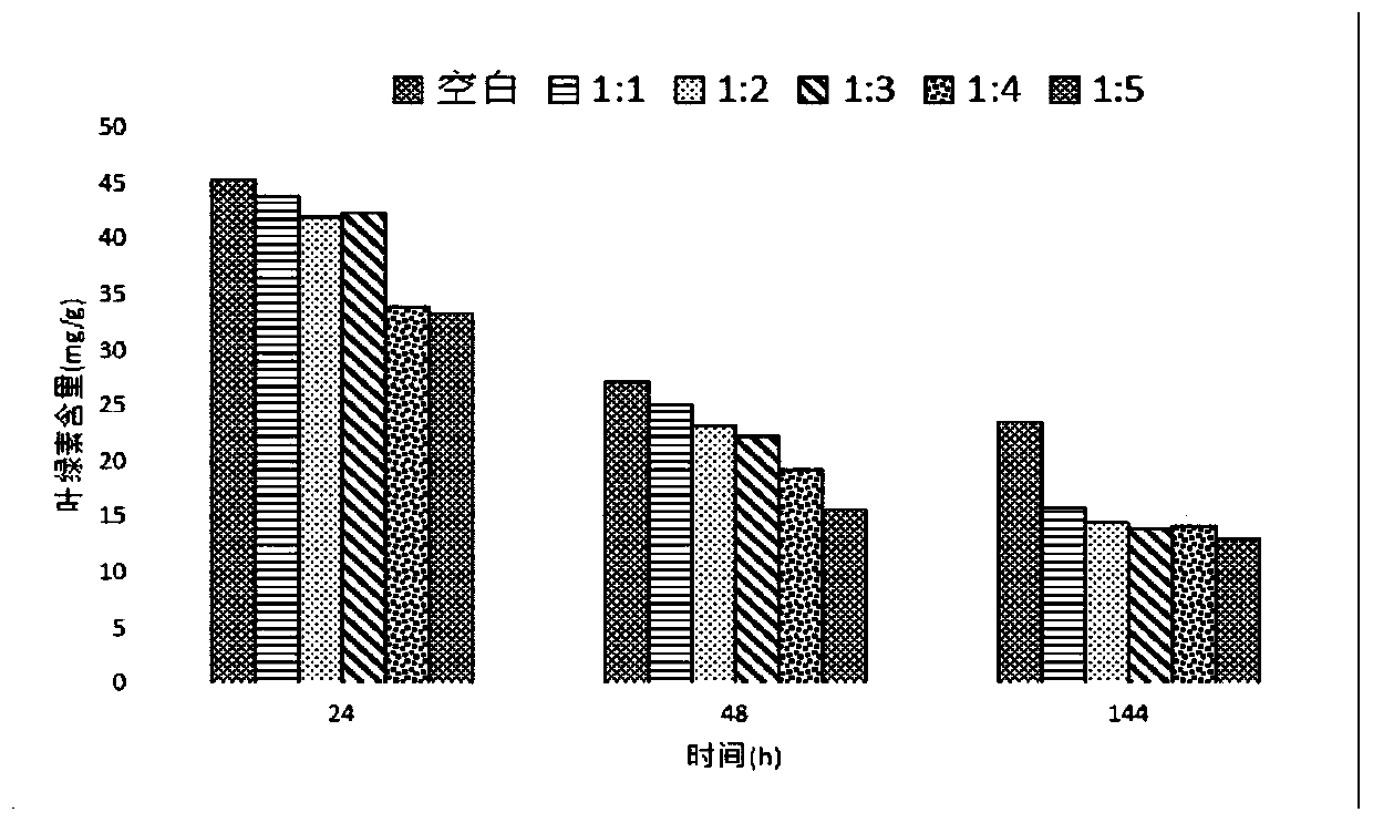 Method for controlling paddy field spirogyra by using biological inhibitor