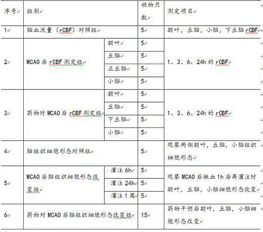 Application of rhEGF (recombinant human Epidermal Growth Factor) in preparation of medicament for preventing and treating cerebral ischemia