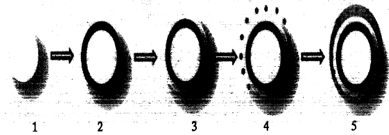 A nanomaterial for enriching and purifying pathogenic microorganisms and its preparation method