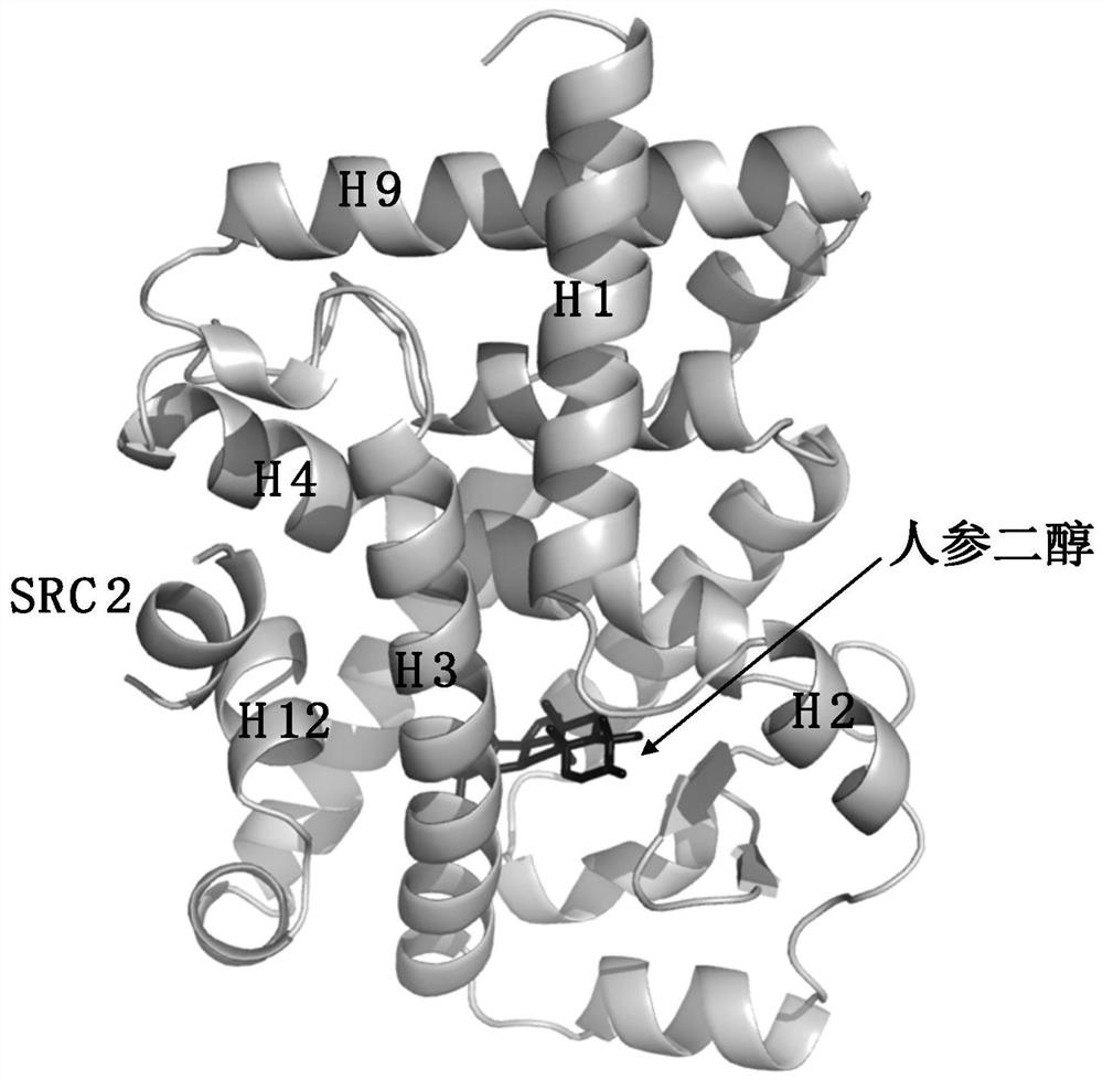 Application of compound and analogue thereof as ROR gamma regulator