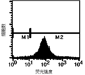 Dendritic cell tumor vaccine and preparation method and application thereof