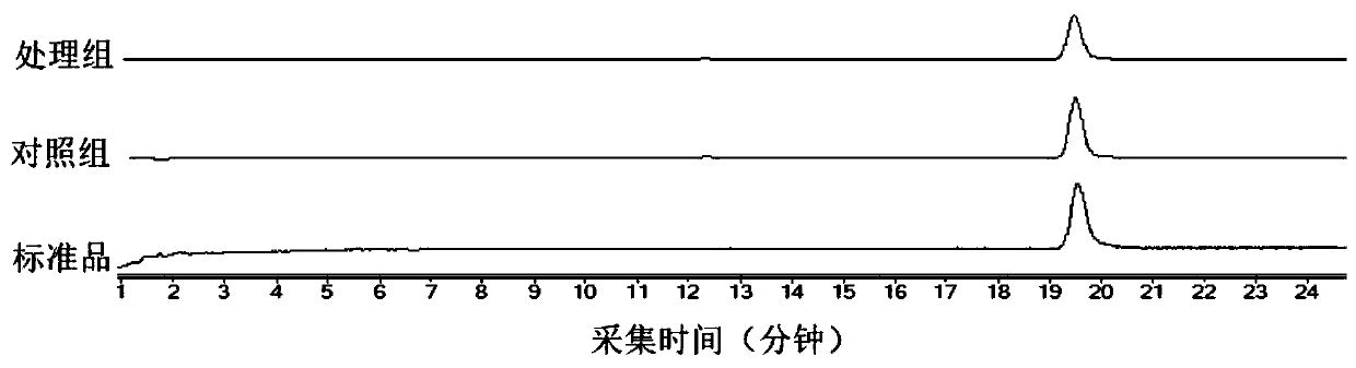 A set of vector system for rice epigenome methylation/demethylation