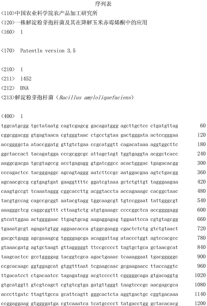 Bacillus amyloliquefaciens and application thereof in degradation of zearalenone