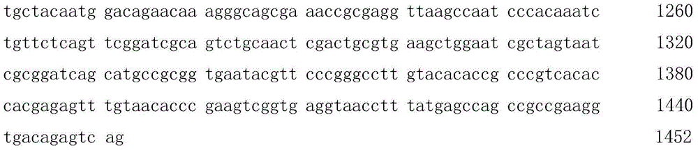 Bacillus amyloliquefaciens and application thereof in degradation of zearalenone