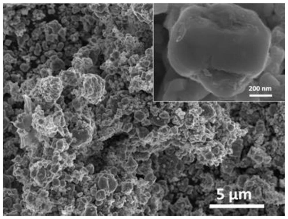 Method for large-scale preparation of efficient electrolyzed water catalyst by using positive electrode material of waste lithium ion batteries