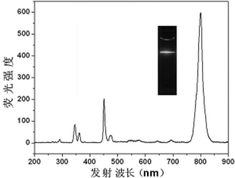 Method for preparing nanoparticle dual-mode fluorescent probe by virtue of co-assembly technology