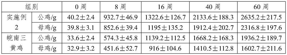 Yellow feather broiler breeding method with high feed conversion rate