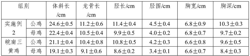 Yellow feather broiler breeding method with high feed conversion rate