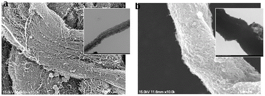 Polyphenylene-oxide-filled (PPO-filled) aligned carbon nanotube bundle (ACNTB)/thermosetting resin and preparation method thereof