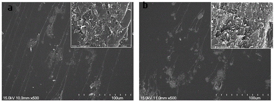 Polyphenylene-oxide-filled (PPO-filled) aligned carbon nanotube bundle (ACNTB)/thermosetting resin and preparation method thereof