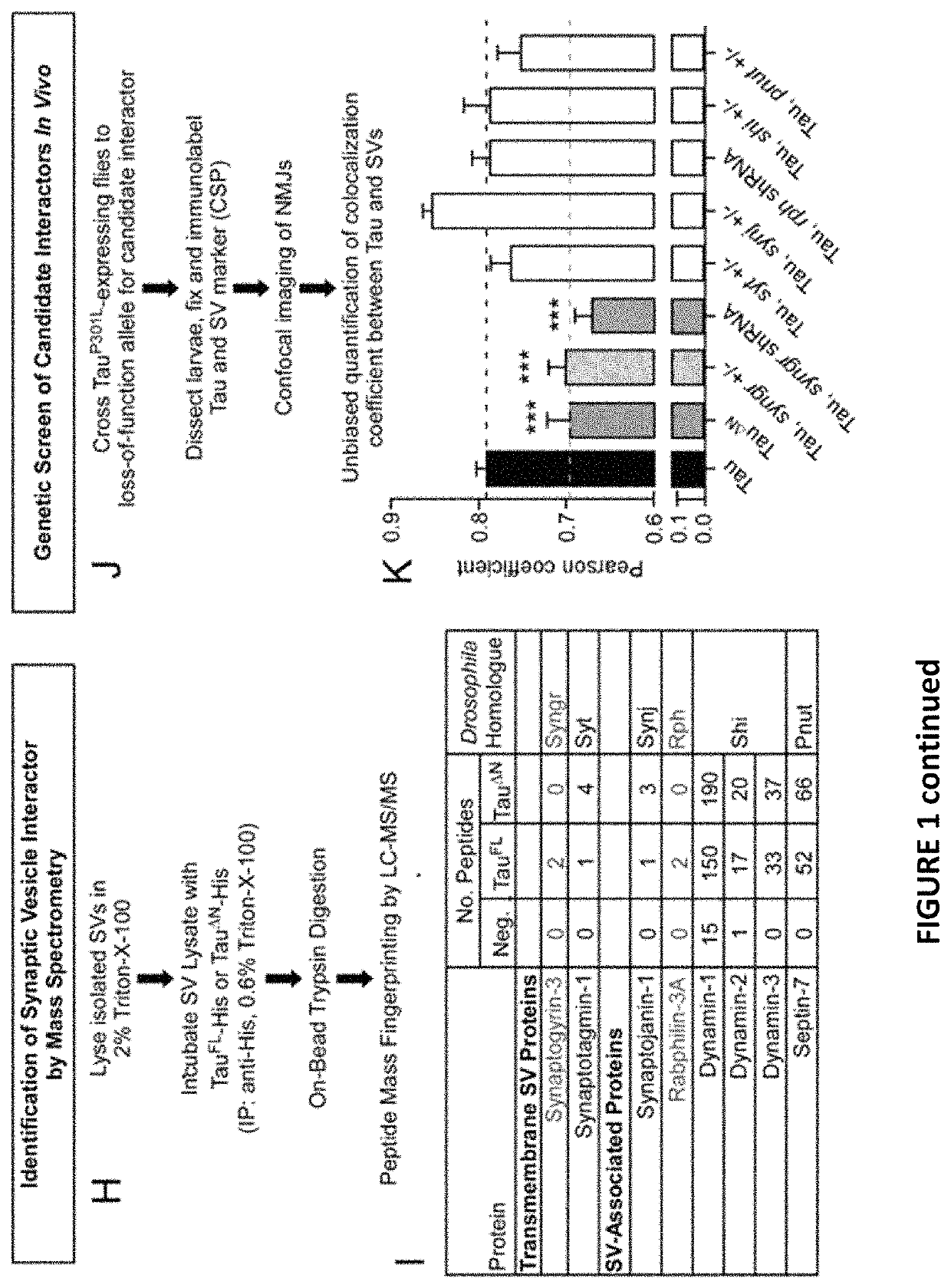 Targeting synaptogyrin-3 in tauopathy treatment