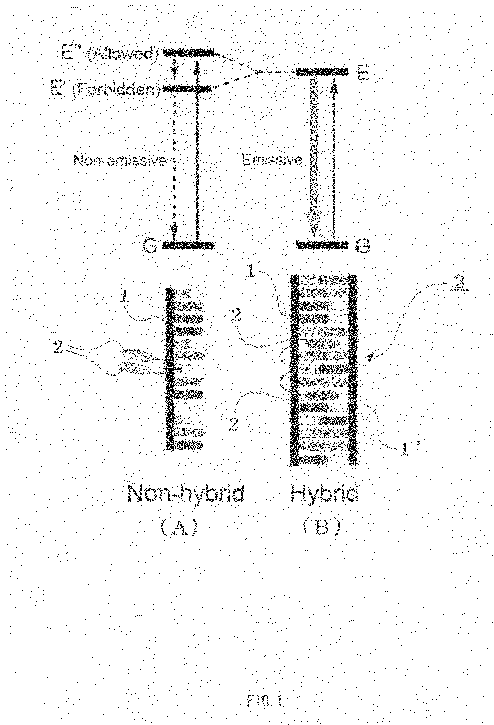 Primer, primer set, and nucleic acid amplification method and mutation detection method using the same