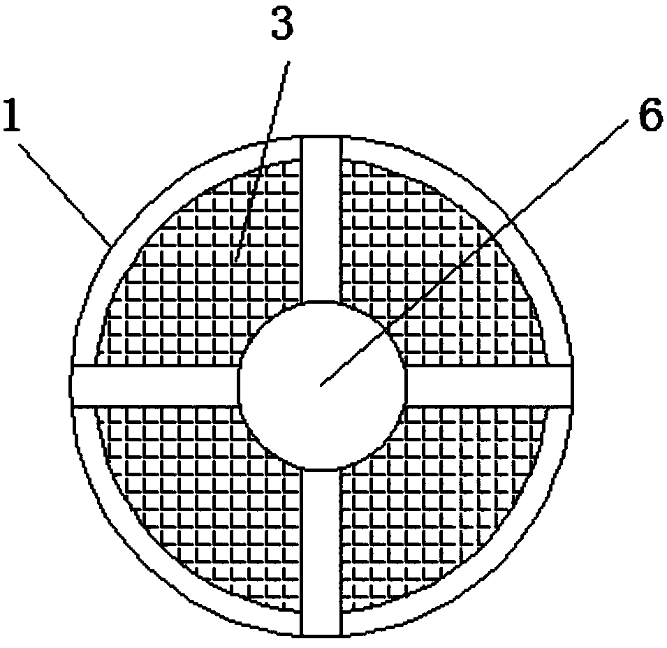 Basketball placement device for physical education