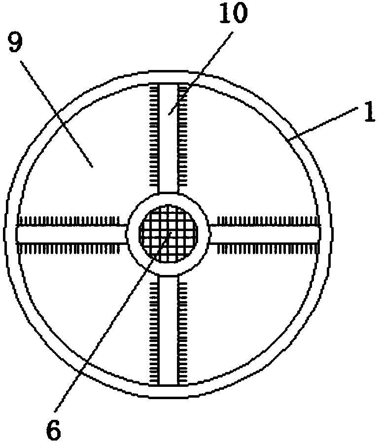 Basketball placement device for physical education