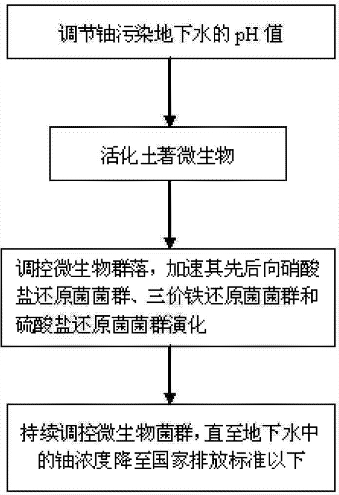 Method of using native function microflora to in-situ purify ground water polluted by uranium