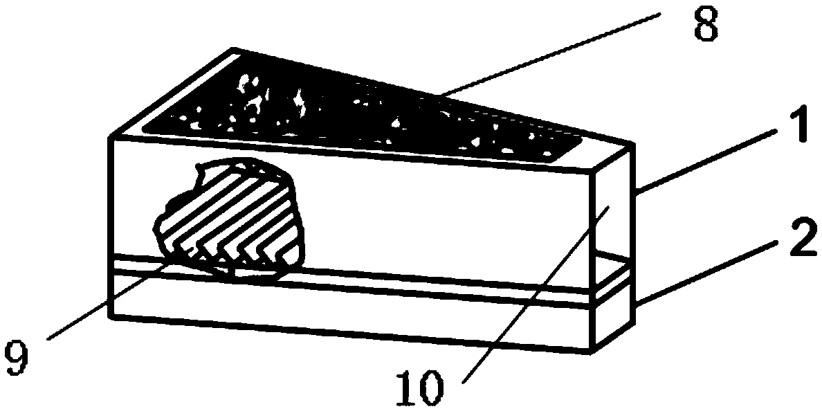 Device for determining soil wind erosion of black soil farmland, and application method of device