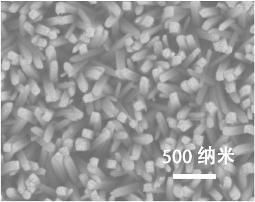 Titanium dioxide catalyst loaded with tannic acid nickel iron, catalytic system, and preparation method and applications thereof